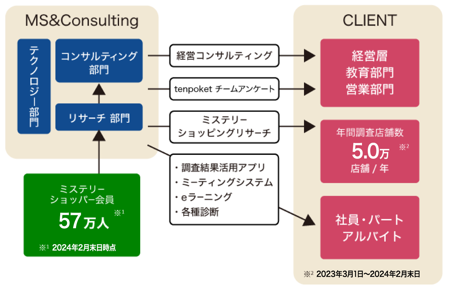 MS&Consultingの事業構造